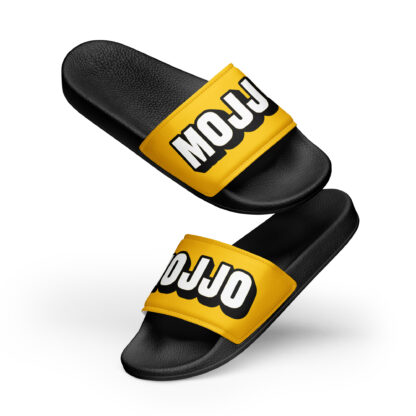 Slides