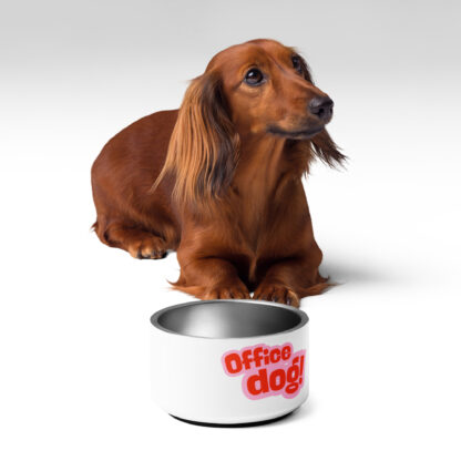 Pet bowl - Image 3