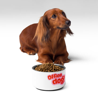 Pet bowl - Image 2
