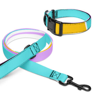 Pet collar & leash