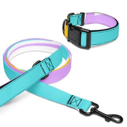 Pet collar & leash - Image 3